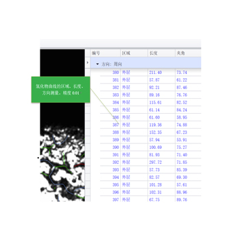eHO 氢化物取向自动测量软件